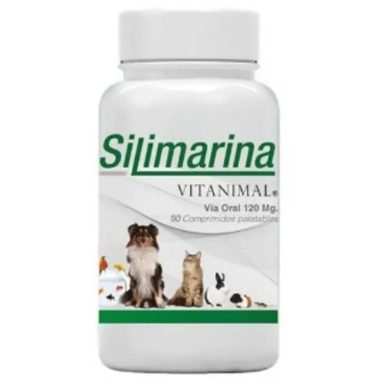 Imagen de VET SILIMARINA X 90 COMP.